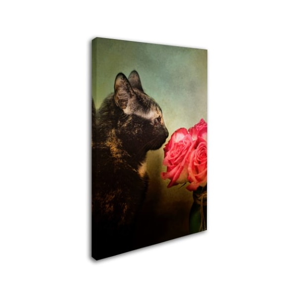 Jai Johnson 'Stop And Smell The Flowers' Canvas Art,12x19